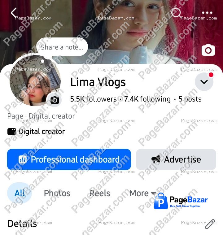 Lima Vlogs