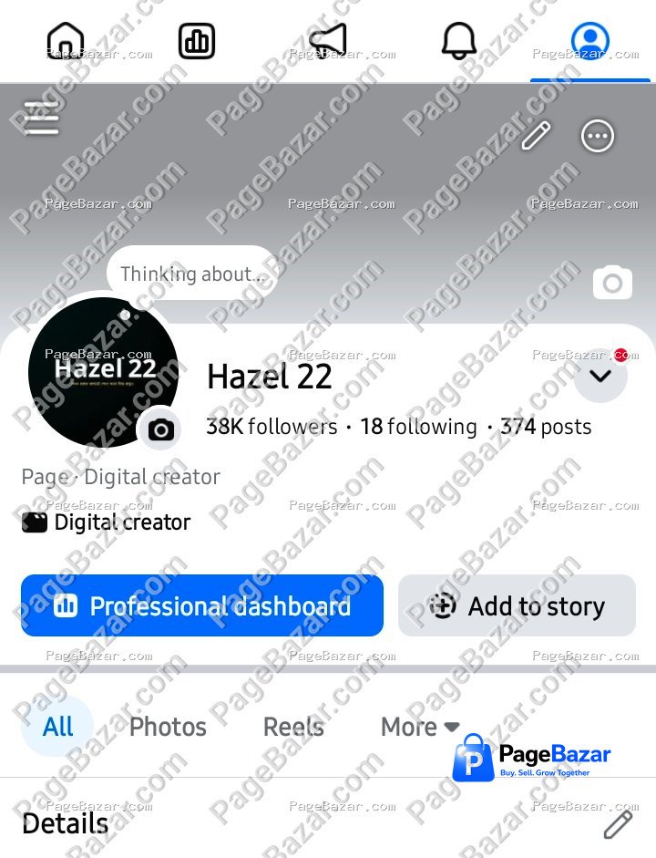 Hazel 22