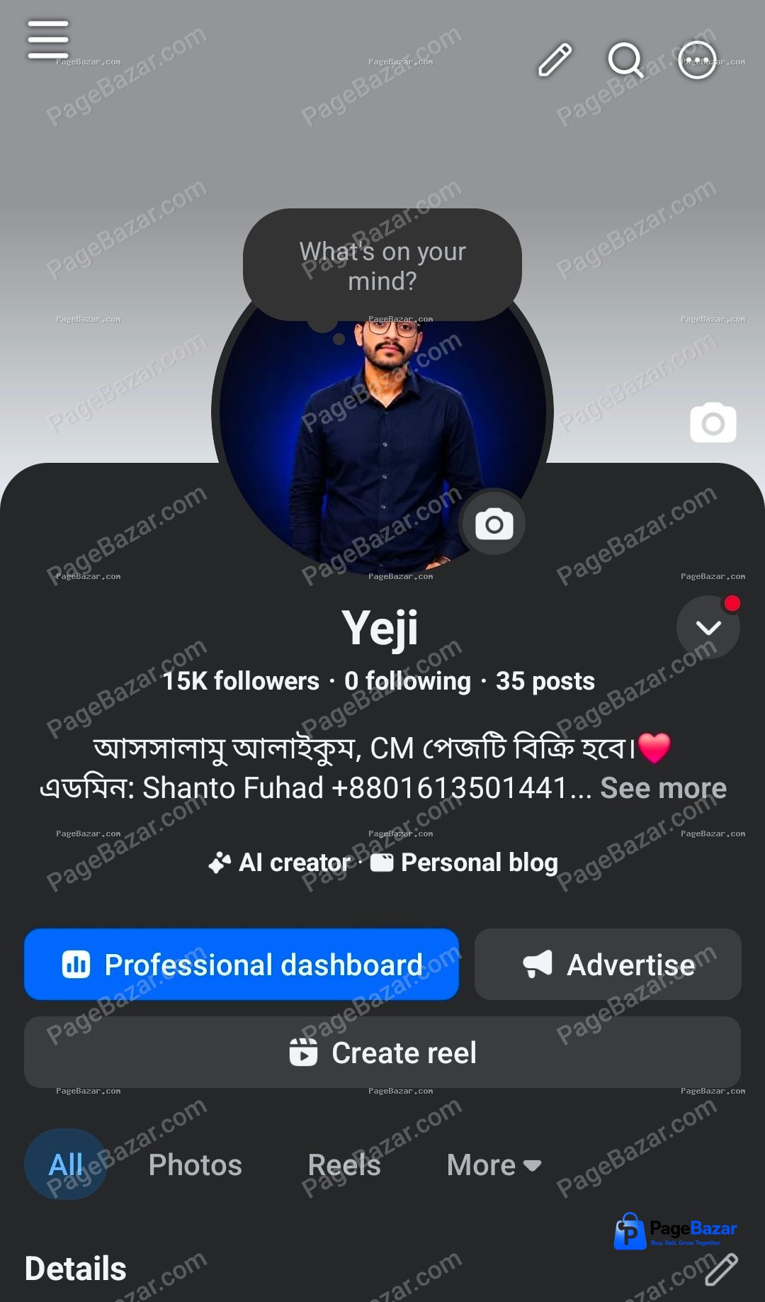 মনিটাইজ পেজ V10