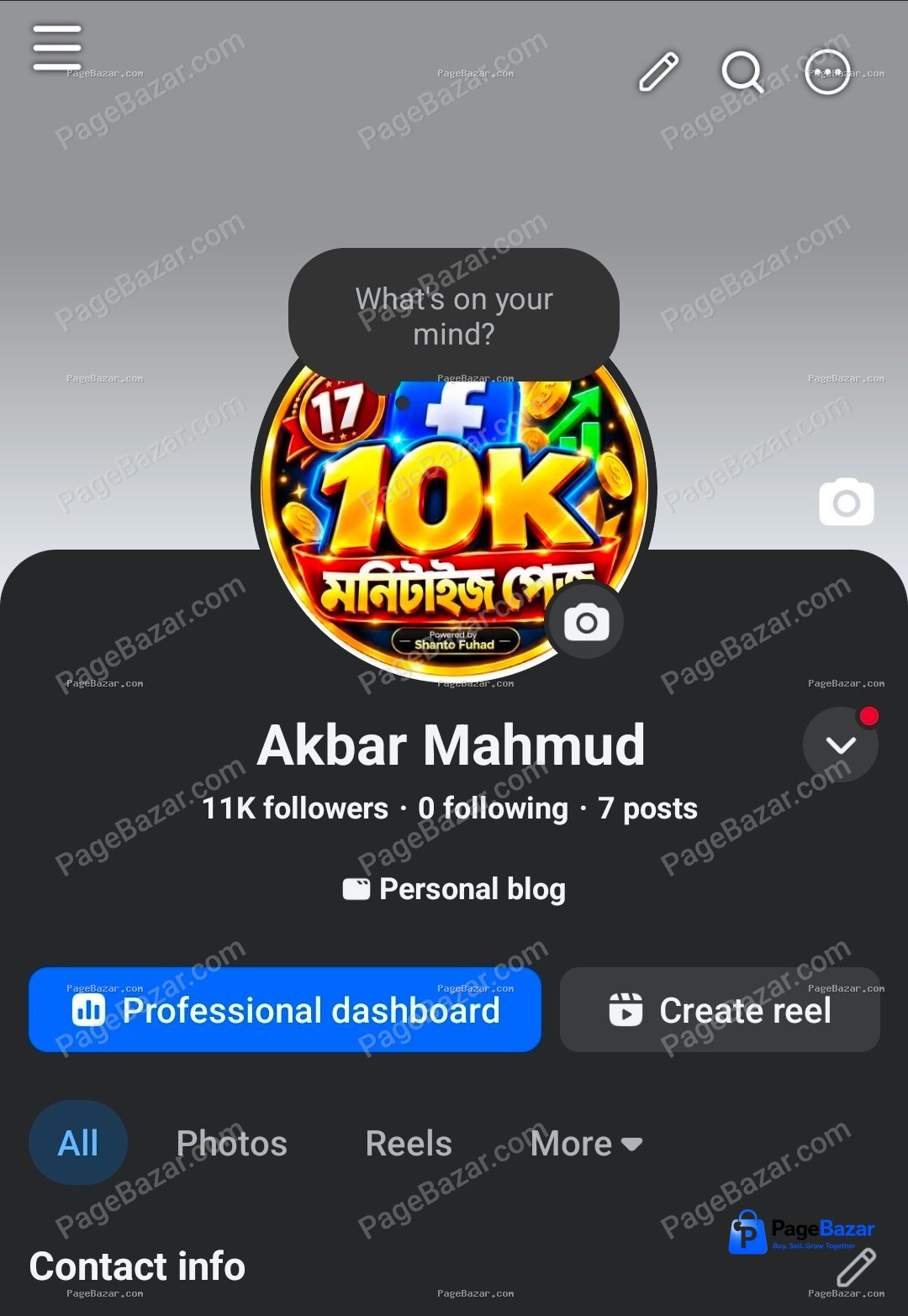মনিটাইজ পেজ V11